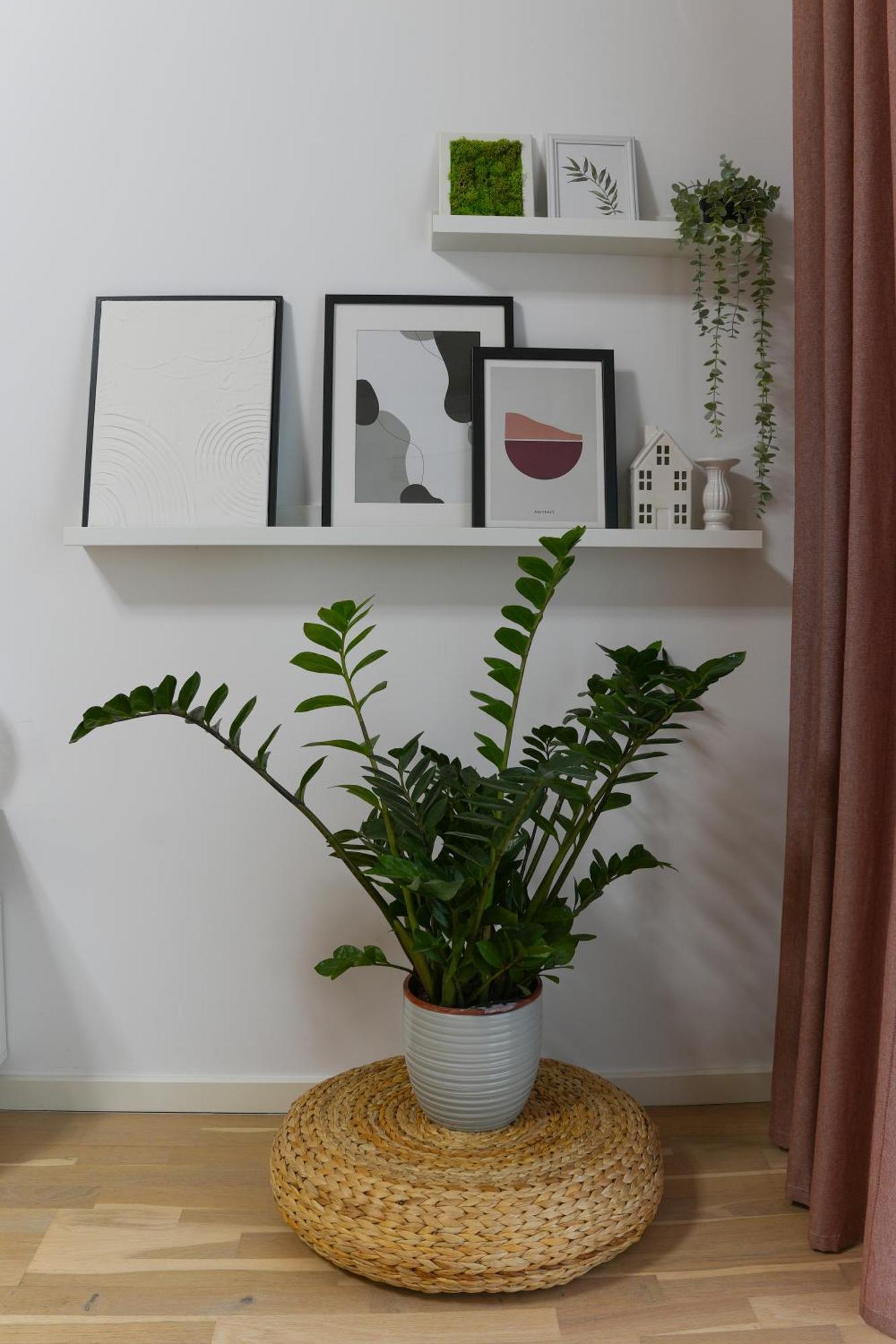 Amalia - Quiet 1Br Apartment With Parking & Wi-Fi Бухарест Экстерьер фото